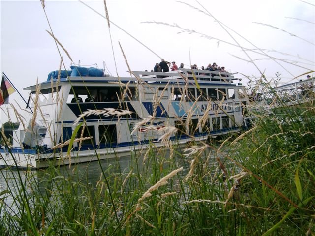 riverboatparty2009039.jpg